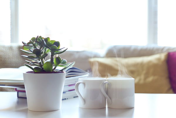 Embracing Our New Normal & The Power Of A Positive Mindset